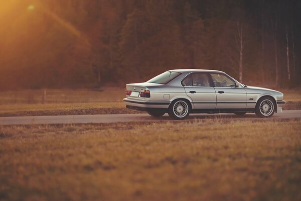 A silver BMW in the sunset glow is parked in a field