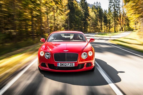 Red car on a forest road