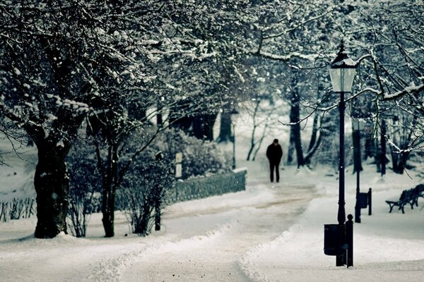 Winter road with lanterns in the forest