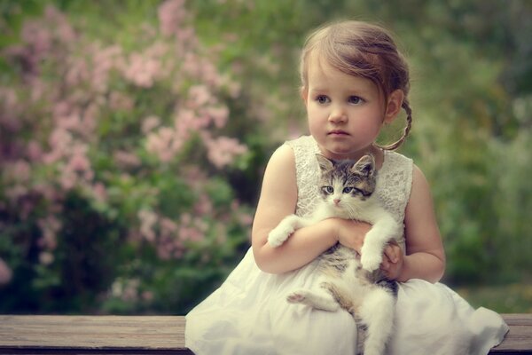 A little girl hugs a kitten