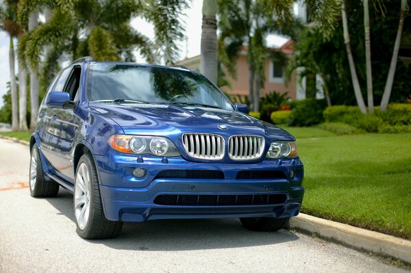 Sportlicher blauer BMW auf der Straße