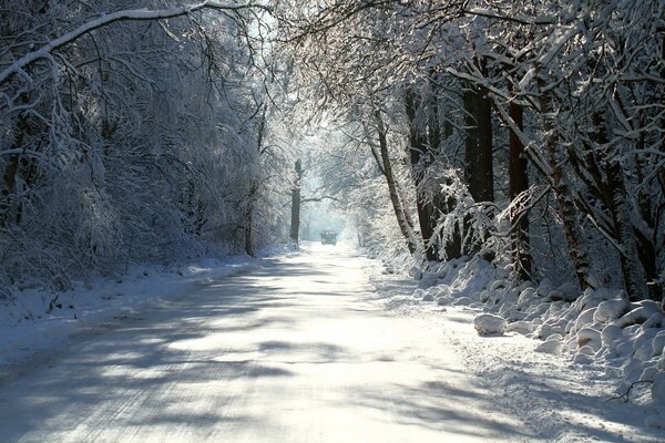 Winterstraße mitten im Wald