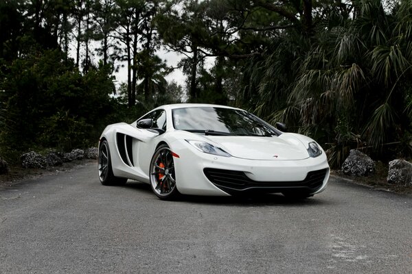 McLaren white on a forest road