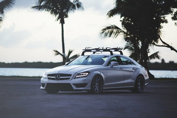 Silver Mercedes Benz on the background of palm trees and a pond