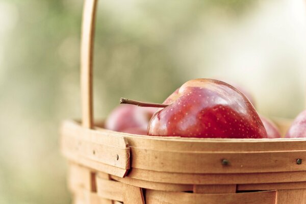 Pomme mûre dans un panier