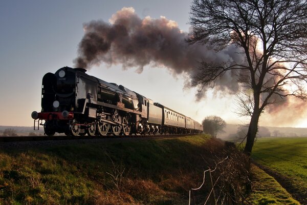 Foto de la locomotora de vapor en el ferrocarril en el campo