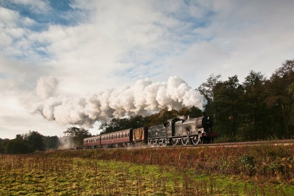 Die Dampflokomotive fährt vor dem Hintergrund der Natur