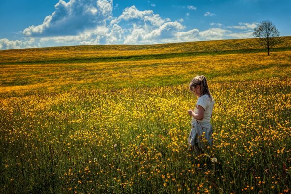 Fille dans le champ d été par une journée claire