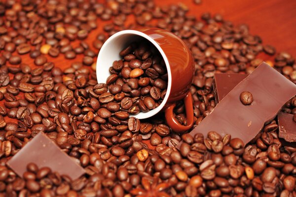 Tasse avec des grains de café et des morceaux de chocolat