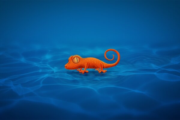 Orange lizard on a blue background