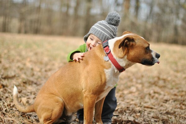 A little boy hugs a dog