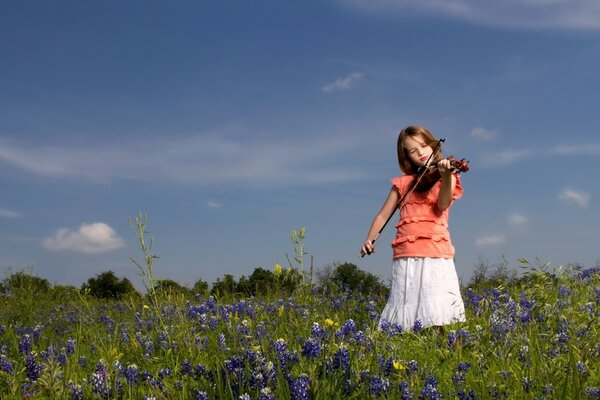 Ragazza violinista su un prato fiorito