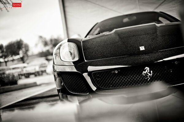 Black ferrari front view