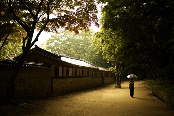 A girl walks along the road with an umbrella