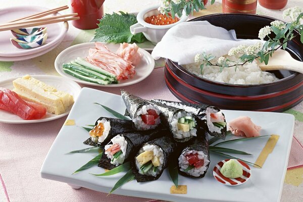 Platos japoneses, arroz, tofu y rollos