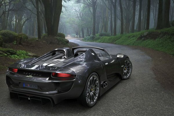 Voiture porsche sur la route forestière