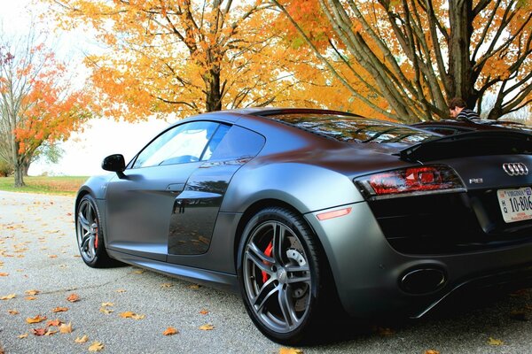 Autumn view of the audi r8 v10 car on the autumn landscape