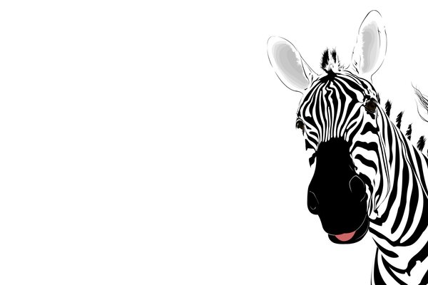 Abstraction, zebra on a white background