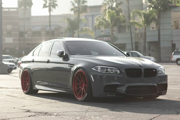 Paysage urbain avec palmiers et BMW noir