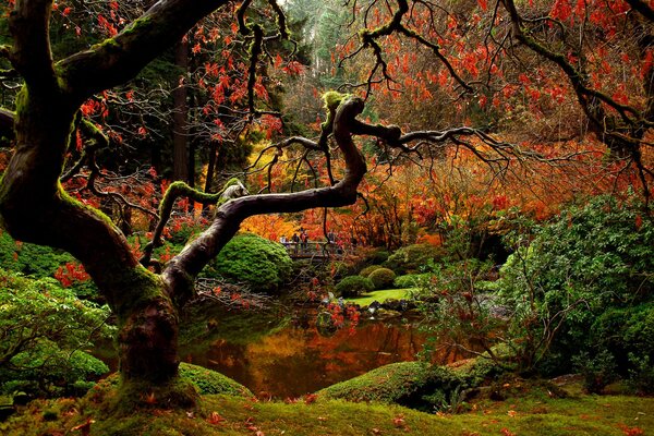 Jardín japonés con gente en otoño