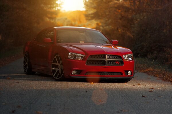 Rotes Auto im Hintergrund des Waldes bei Sonnenuntergang