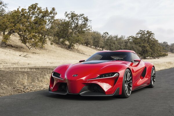 Coche deportivo rojo en las estepas