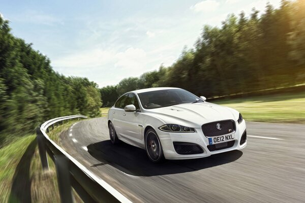 Berline blanche Jaguar à la vitesse