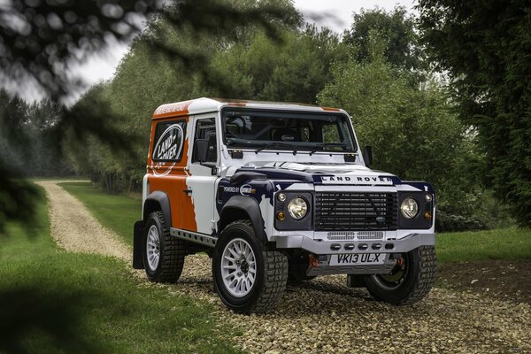 Land Rover colore protettivo vista frontale su sfondo verde