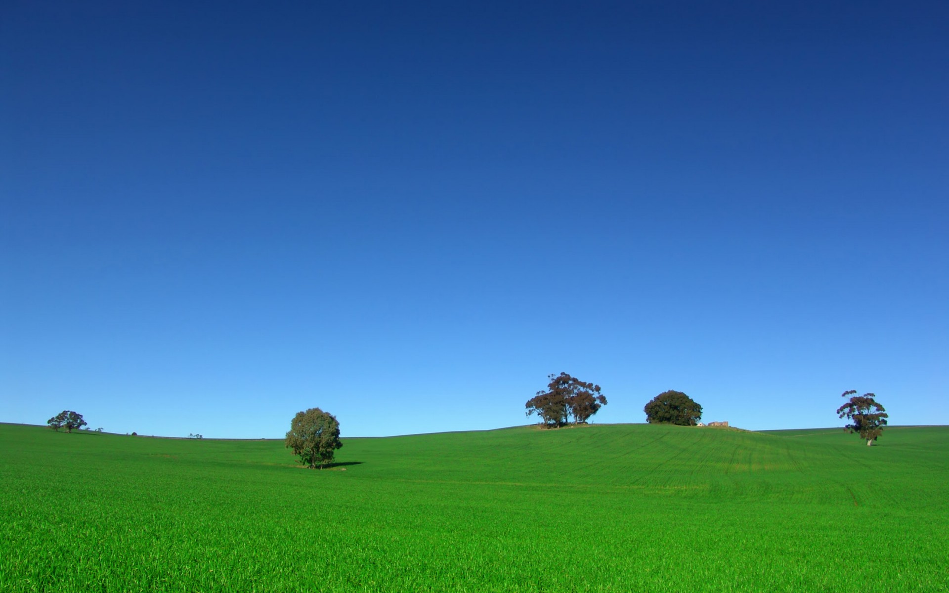 feld bäume himmel