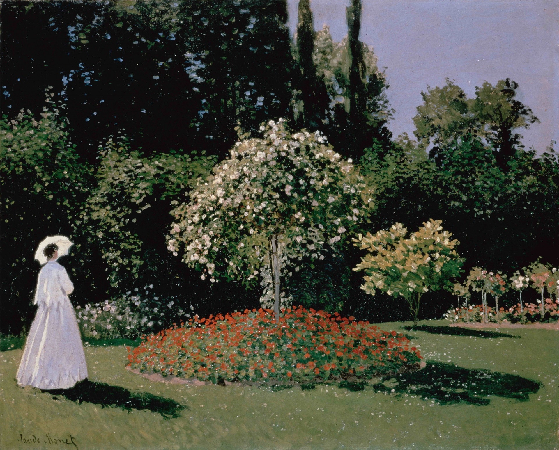 natur bäume sommer himmel regenschirm frau blumen anziehen schatten garten