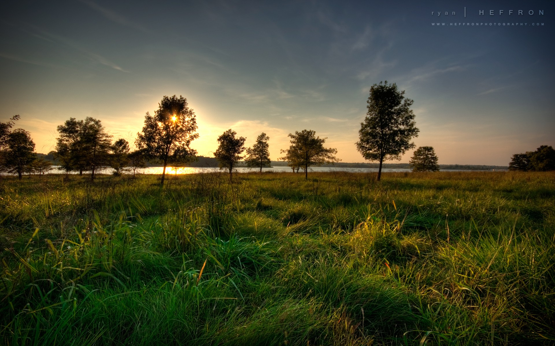 fiume tramonto sole albero erba