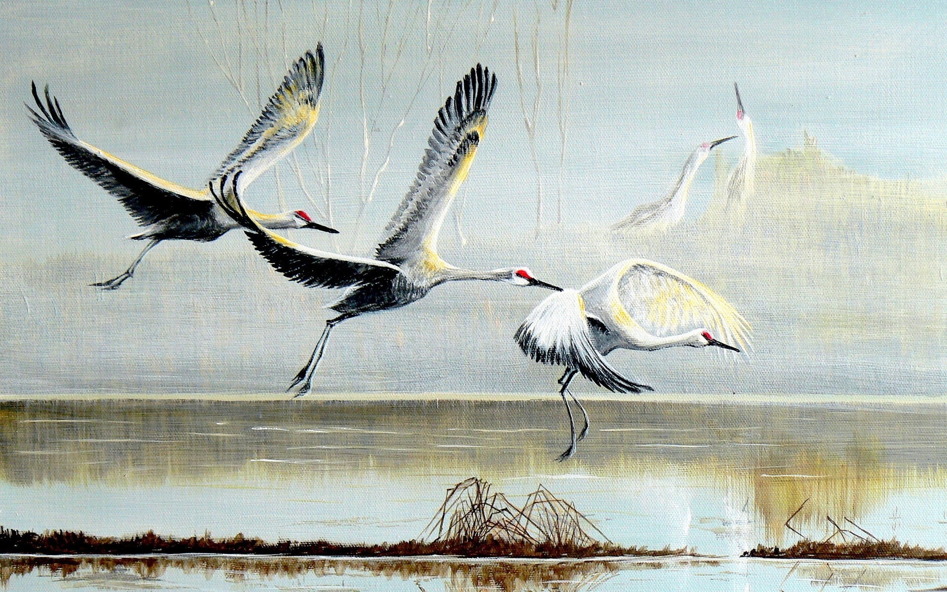 pintura cigüeñas aves