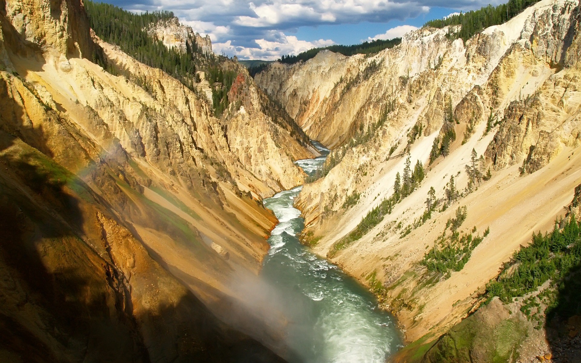 canyon fiume alberi