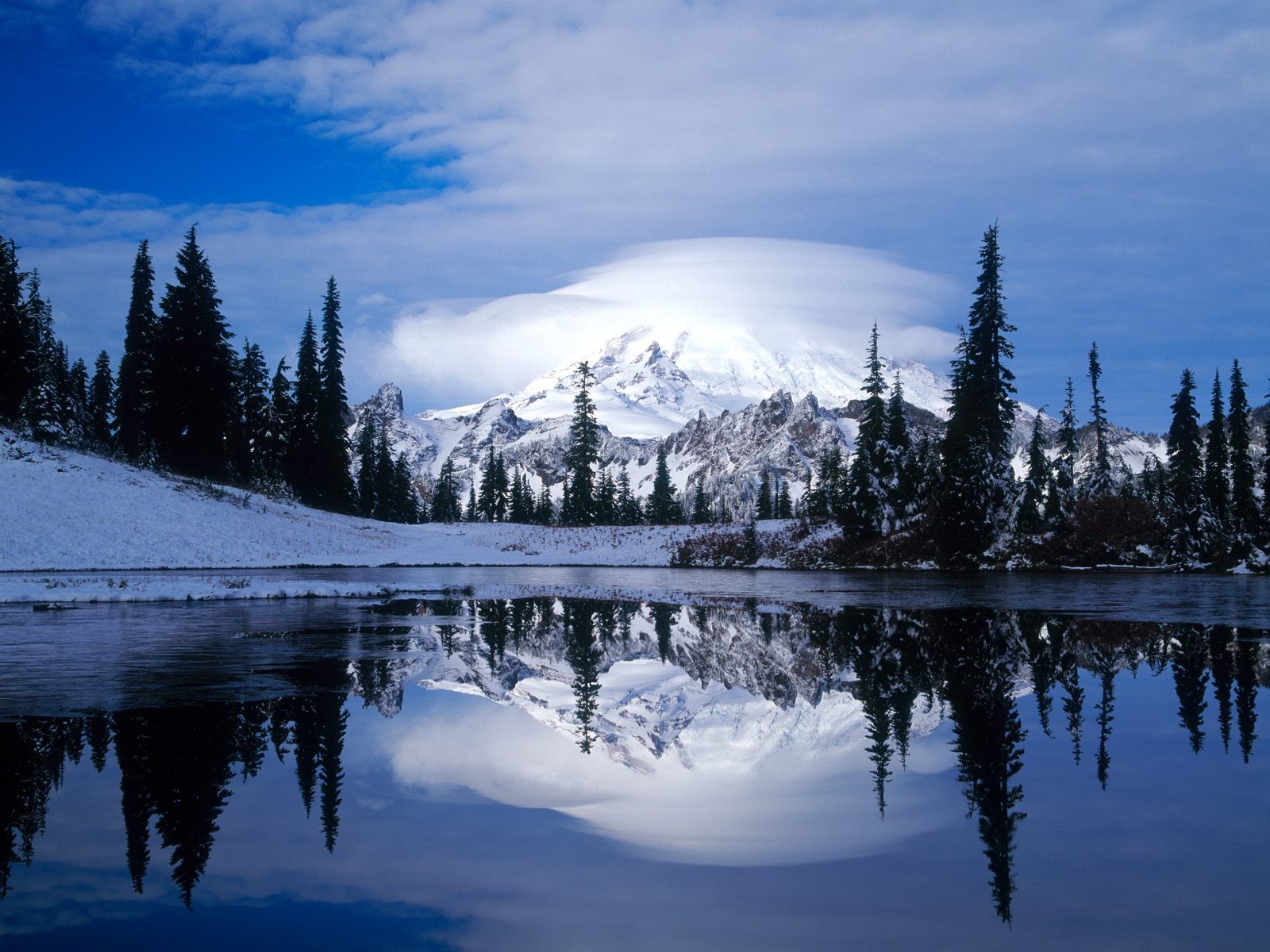 volcan rainier lac arbres