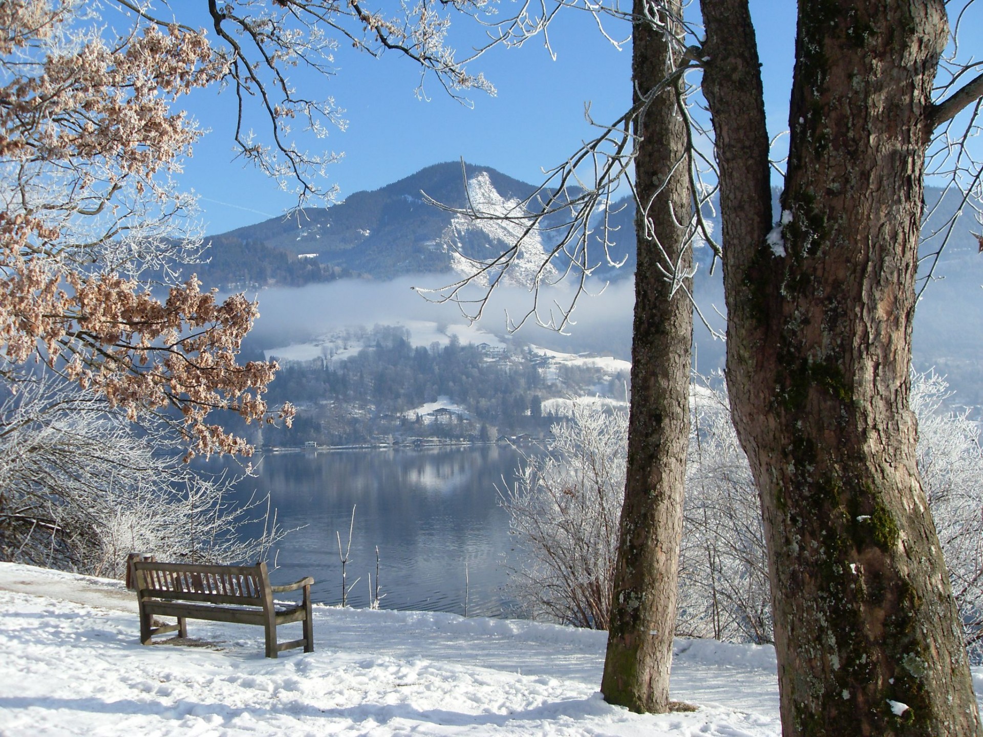 winter fluss bäume bank