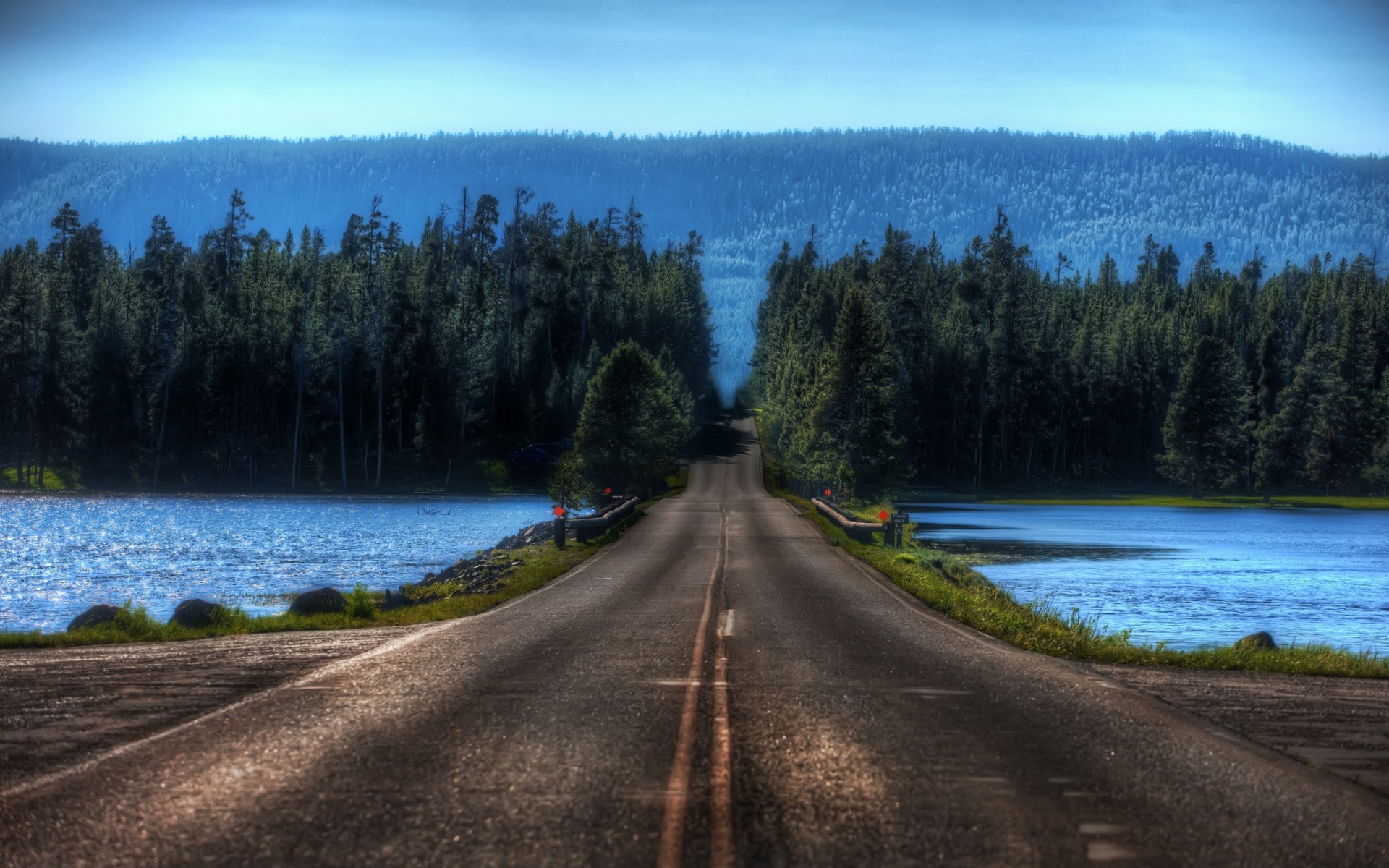 forest lake road ferry blur