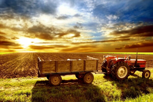 Traktor auf dem Hintergrund des abendlichen Feldes