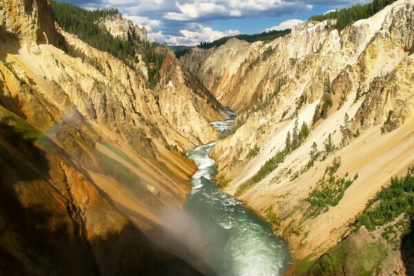 Bäume am Rande einer Schlucht am Fluss