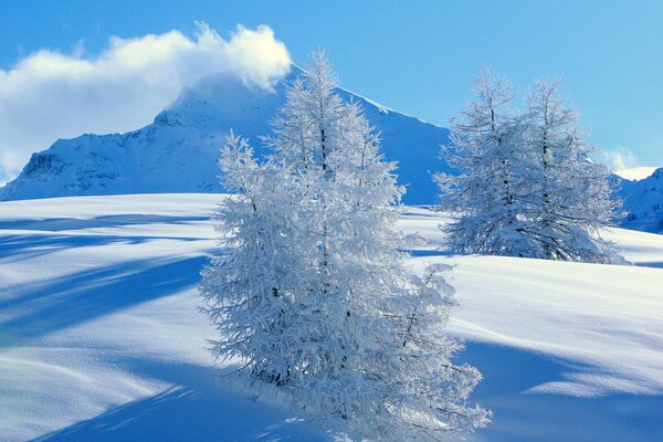 Winterlandschaft verschneite Berge