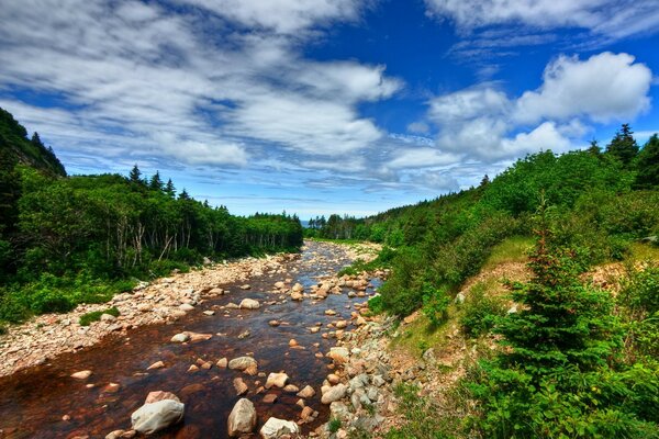 A mountain stream passing between woodlands