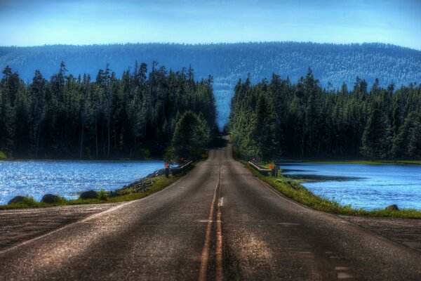 Der Weg über den See zum Wald