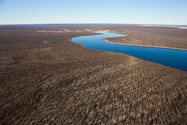 River in the forest from a height