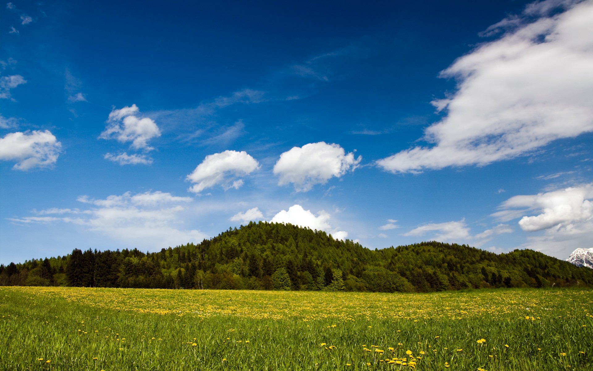 primavera naturaleza austria carintia austria hierba verde paisaje colinas verde