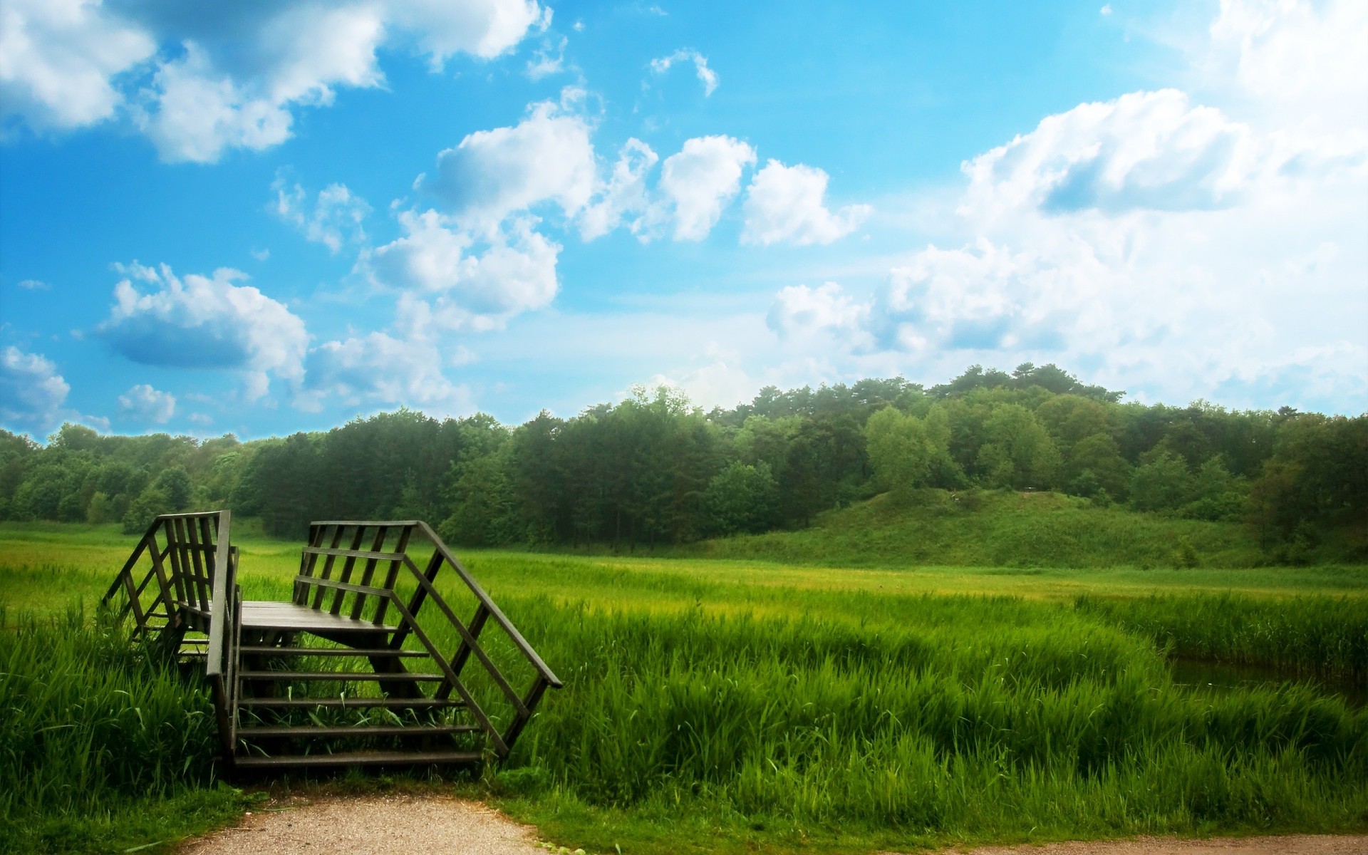 bridge grass meadow tree forest