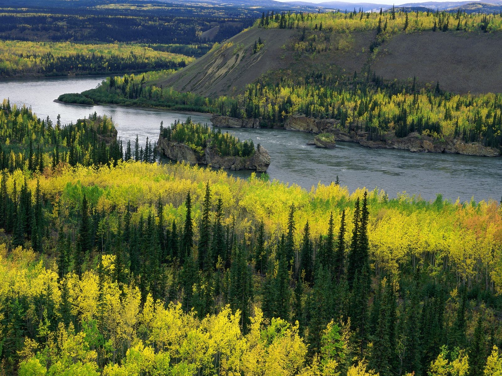 yukon rivière