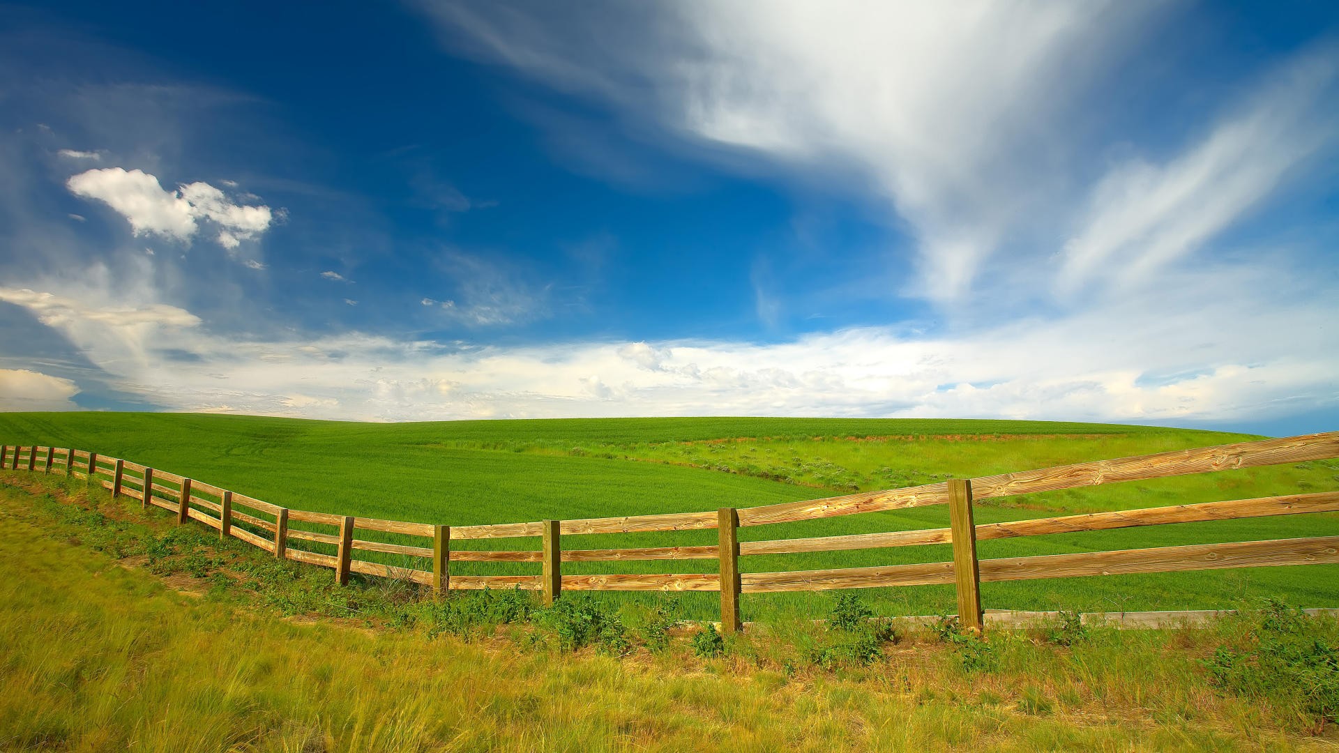 washington campo recinzione