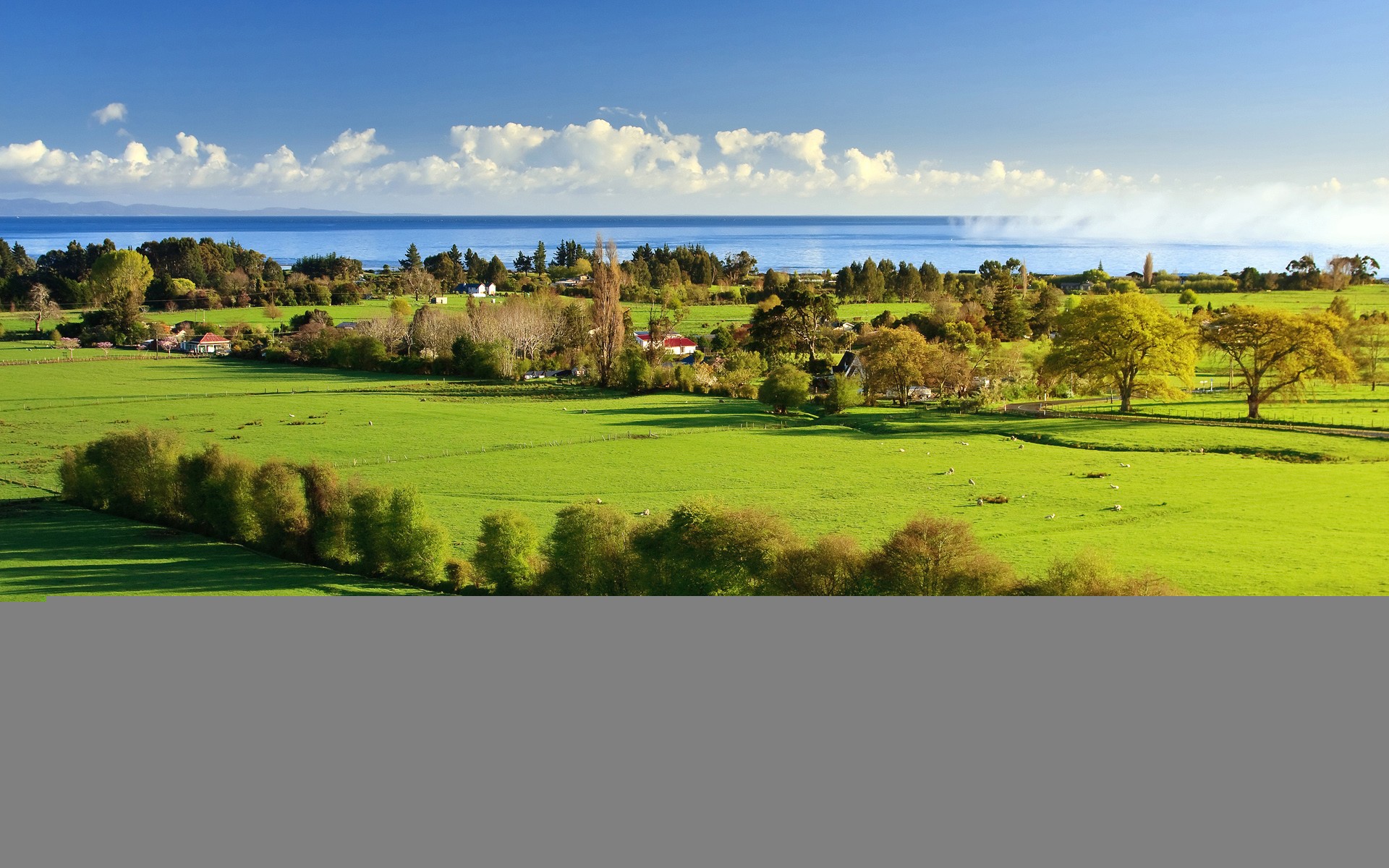 verdure herbe arbres mer