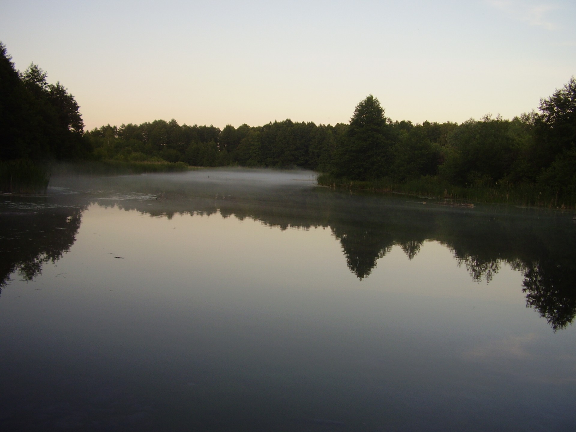 landscape nature forest lake