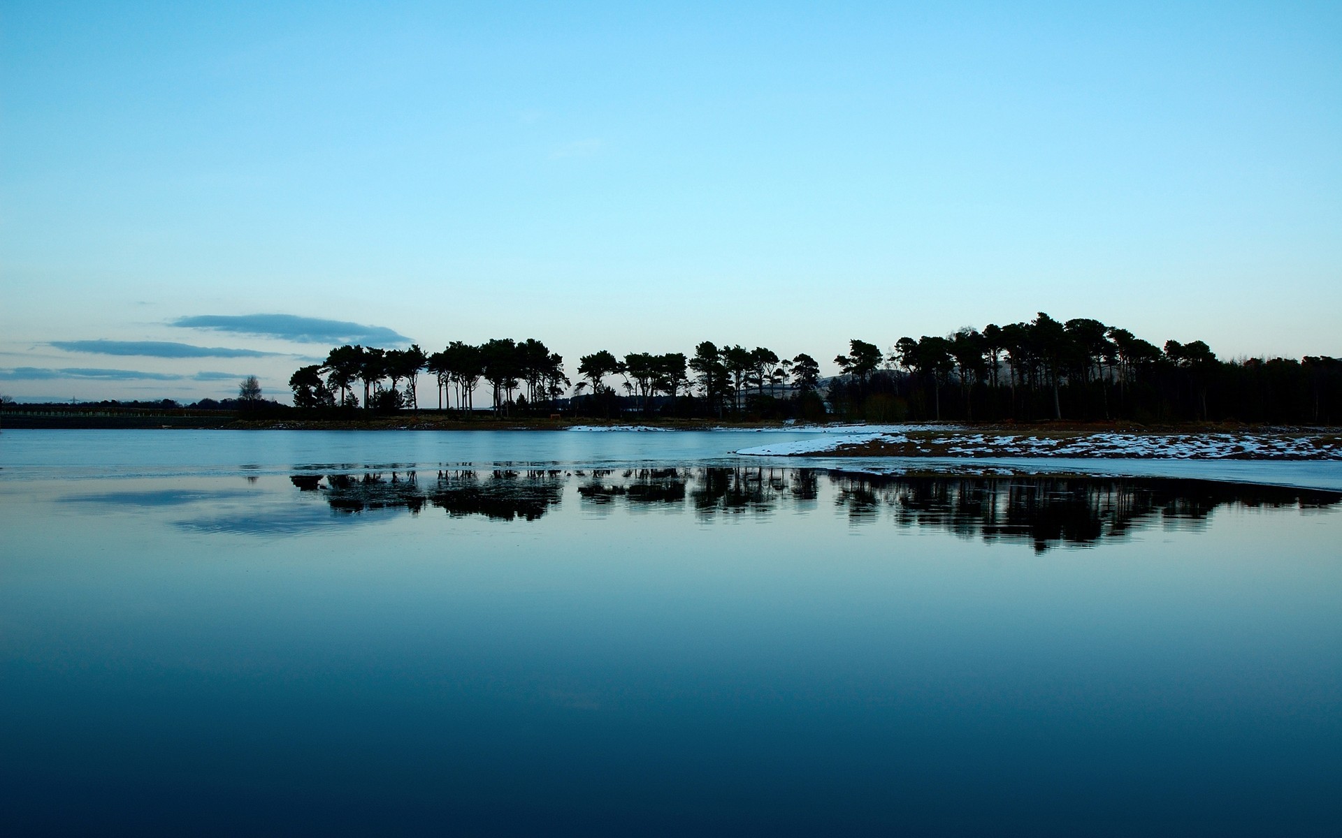 water tree island