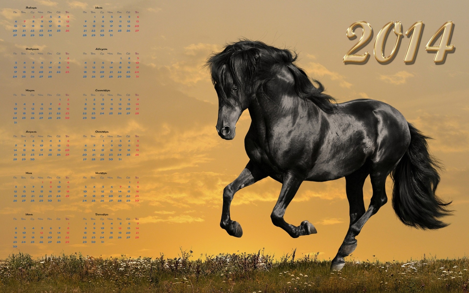 horse 2014 calendar